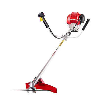 Radha 21V MAX cordless spray gun with batteries and charger